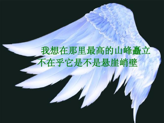 追梦谈第14季:多次几乎跌落悬崖但又爬了回来 感恩仍拥有健康