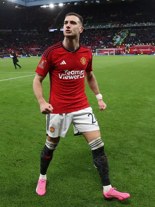 舍什科:曼联谁帮助我适应?达洛特和我非常契合,他真的帮了我