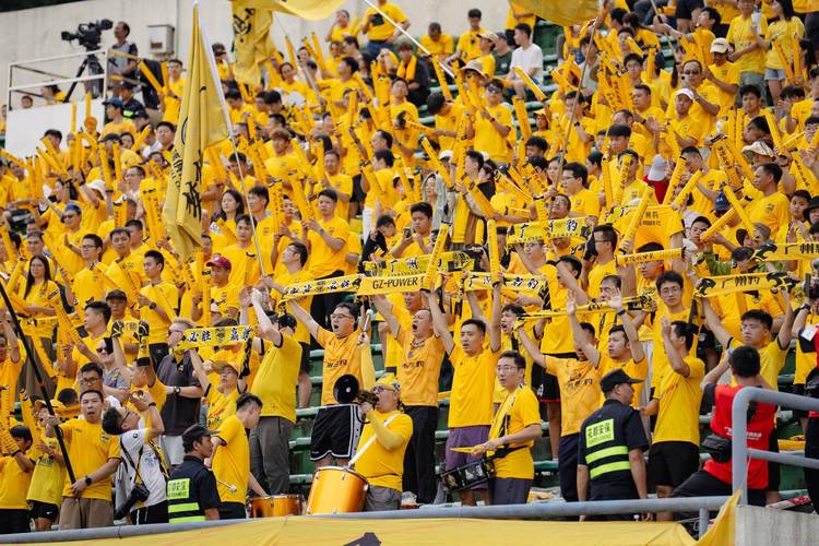 2025中甲广东广州豹队现场观众人数：合计65236人次，场均4349人